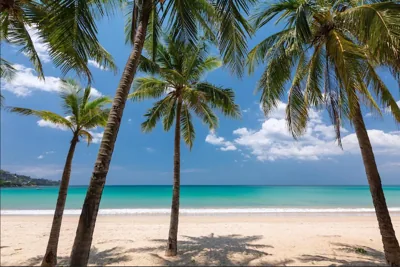 Tropics Kamala Hill View Suite CTG D707, near Beach and Fantasea – Fotos 9